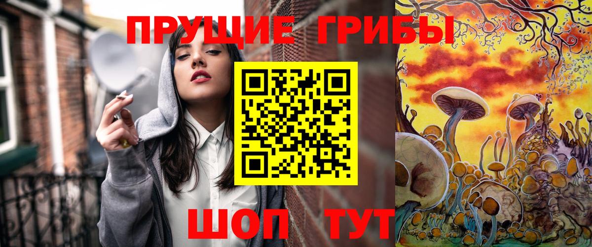 Галлюциногенные грибы мицелий Луга